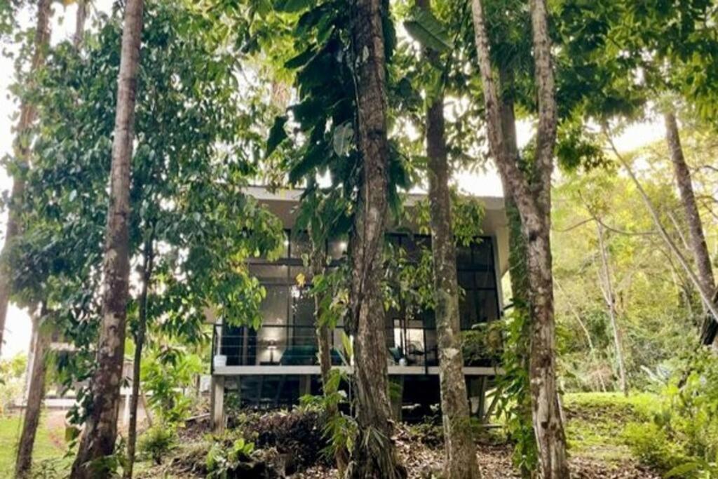 An Abundance Of Wildlife At Jungle Glory Home Abajo Manuel Antonio Exterior foto