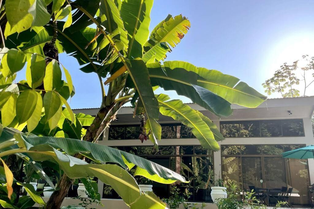 An Abundance Of Wildlife At Jungle Glory Home Abajo Manuel Antonio Exterior foto