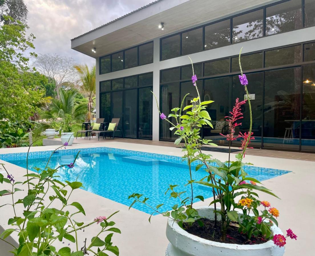 An Abundance Of Wildlife At Jungle Glory Home Abajo Manuel Antonio Exterior foto